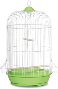 budgie cages amazon