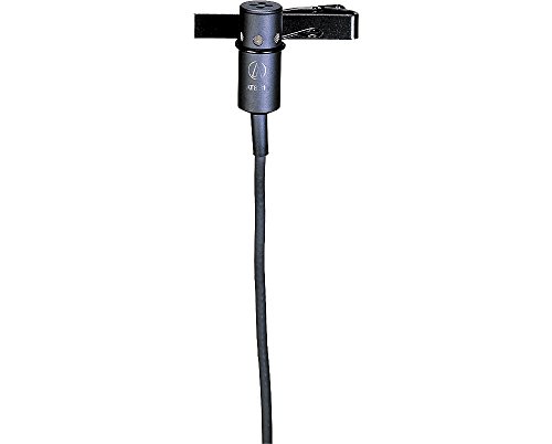 Audio-Technica Condenser Microphone AT831R
