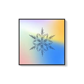 Framed Canvas Wall Art for Living Room, Bedroom Snowflake Theme Canvas Prints for Home Decoration Ready to Hang - 16x16 inches