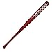 Boston Red Sox Official MLB Mini Baseball Bat by Coopersburg Sports