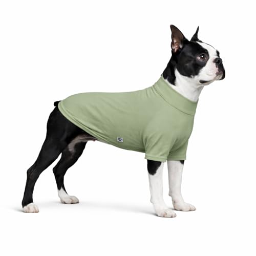 LoveLongLong Spring Summer Cooling Dog T-Shirt with UV Protection and Moisture-Wicking Fabric Blank Color Light green L