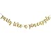 Gold Glittery Party Like A Pineapple Banner- Graduation Hawaiian Luau Tropical Summer Theme Party Decorations Garland