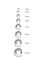 Honolulu Jewelry Company 14K Real Gold Polished Round Ball Stud Earrings, 2mm - 10mm