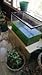 Algae Research Supply: Spirulina Farming Kit