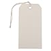JAM PAPER Gift Tags with String - Medium - 4 3/4 x 2 3/8 - White - 10/Pack