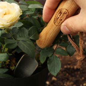 DEWIT(デウィット) ミニスコップ No.3470