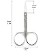 Professional Trimming Eyebrow Eyelash Forehead Hair Beard Small Scissors Portable Stainless Steel Beauty Care Tool BLUETOP