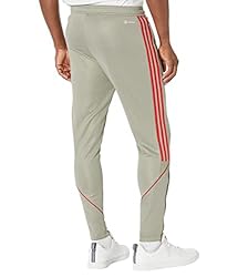 adidas Men's Tiro Pants, Silver Pebble/Better