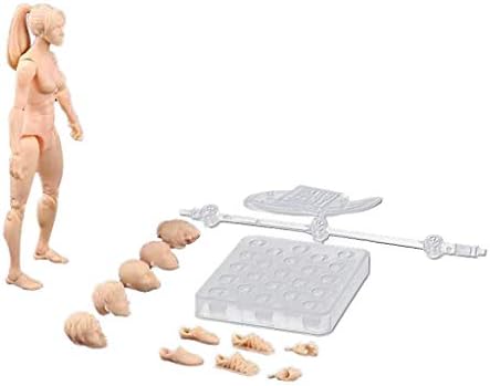 Cocal Exquisite Drawing Figures for Artists Action Figure Model Human Mannequin Man Woman Kits (D)