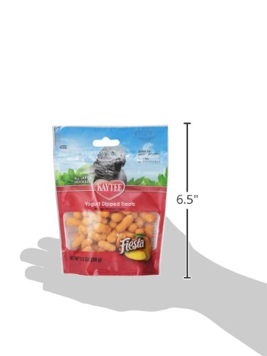 Kaytee Fiesta Yogurt Dipped Mango Flavor Treat for Large Hookbills, 3.5-oz bag