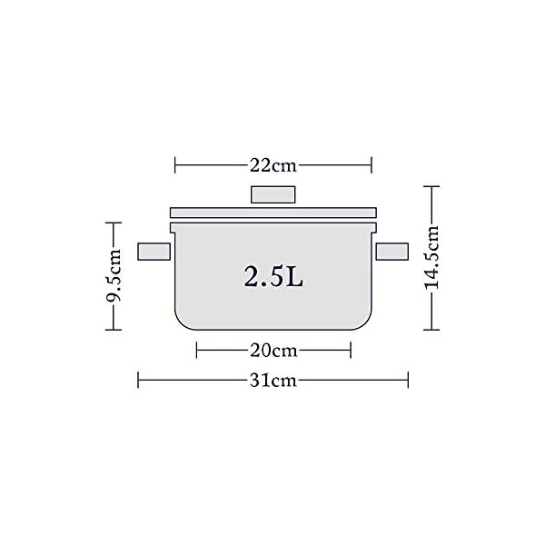Stellar-1000-22-Centimeter-Casserole-25-Litres Stellar 1000 S136 Stainless Steel Casserole with Lid 22cm, 2.5L Induction Ready, Oven Safe, Dishwasher Safe - Fully…