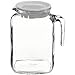Bormioli Rocco Frigoverre Glass Pitcher with Lid, 77 3/4 Ounce