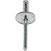 Large Flange Pop Rivets 3/16