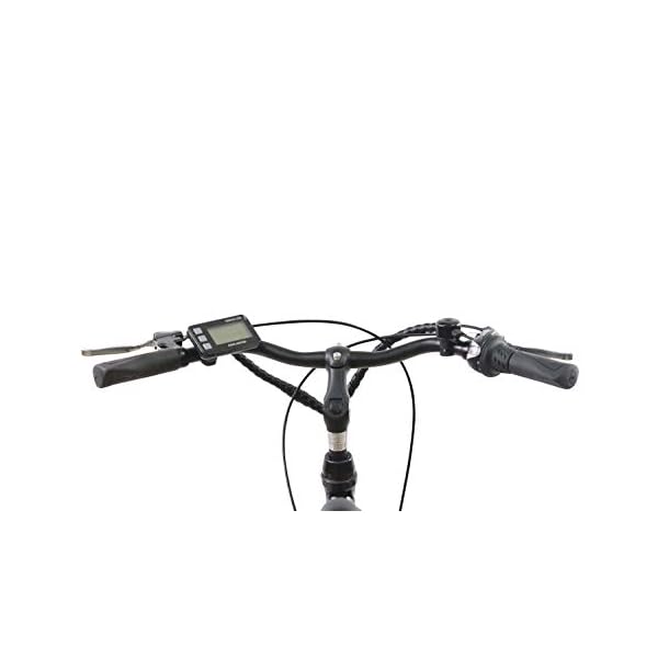 F.LLI SCHIANO E-MOON, BICICLETTA ELETTRICA ADULTO NERA, 26 -  ilMonopattinoElettrico.com