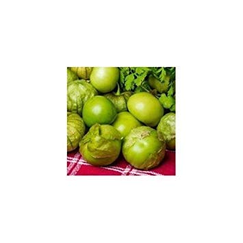 Fash Lady Package of 50 Seeds, Grande Rio Verde Tomatillo Seeds (Physalis ixocarpa)