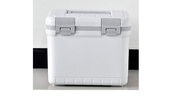 Dcol 6L Vacuna Aislante Medicamento Nevera Caja : Amazon.es ...