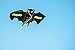 NICELY HOME Kite Batman for Kids and Adults - Large Size Cute Design Perfect for Outdoor Activities - Easy to Assemble Launch & Fly Built to Last