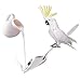 Jim-Hugh Bird Parrot Feeding Stainless Steel Water Milk Powder Feeder Spoons Suppliesthumb 1