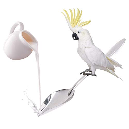 Jim-Hugh Bird Parrot Feeding Stainless Steel Water Milk Powder Feeder Spoons Supplies
