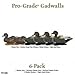 Avery GHG Pro-Grade Gadwall Decoys, 6-Pack | Realistic Durable Waterfowl Hunting Floating Duck Decoys with 60/40 Forward Weighted Swim Keel | 5 Body Positions, Male & Female Ducks (73145)