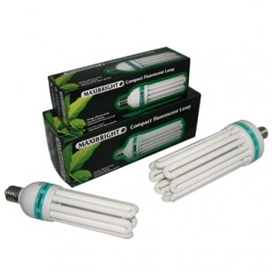 250W Maxibright CFL Lamp RED