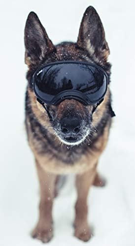 Rex Specs Dog Goggles - Eye Protection for The Active Dog