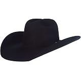 RESISTOL Men's 20X Gold Fur Felt Hat at 