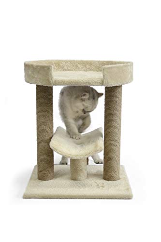 1 AmazonBasics+Platform+Cat+Tree+Beige
