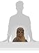 FanWraps Star Wars The Last Jedi Chewbacca Passenger Series Window Decal Sunlight Diffusing Decal