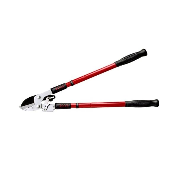 Connex Ratschen-Teleskop-Astschere 70-99 cm / Baumschere / Teleskopschere / Gartenschere / FLOR70420