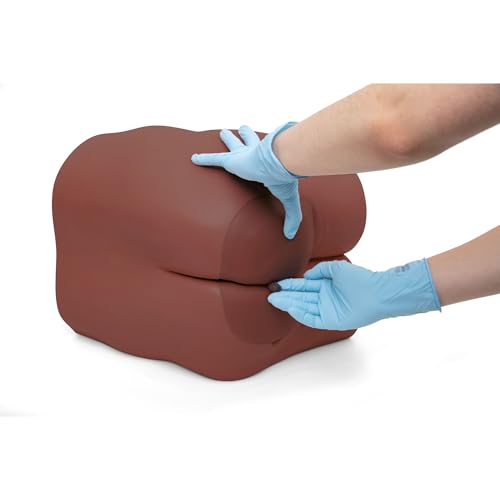 3B Scientific Darmpflege‑ & Klistiertrainer P16D (dunkler Hautton)