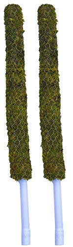 PlantaZee Moss Stick 3 FT - 2 Pieces -Moss & Coir Stick for Plant Support, Indoor Plants, House Plants & Plant Creepers