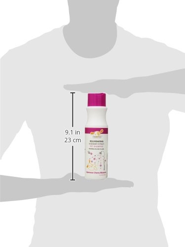 Nootie- Pet Shampoo, 1 Unit 16oz, Japanese Cherry Blossom