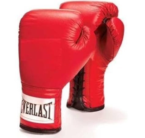 everlast leather pro 3 boxing gloves