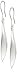 Amazon Collection Sterling Silver Elongated Wave Earrings