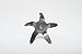 XL 4 INCH DIAMETER Pro Pork Puller HD ™