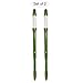 IPPINKA Sustee Aquameter, Plant Moisture Sensor Set of 2 (Green, Medium)