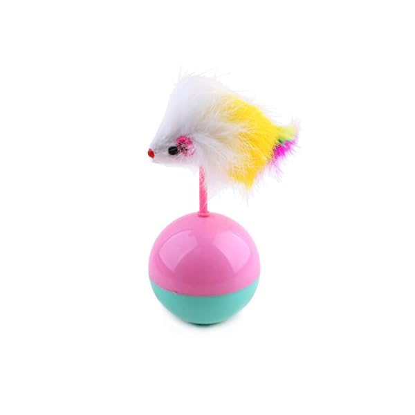 TOOGOO Dauerhaft Haustier Katze Spielzeug Mimi Lieblings Fell Maus Becher Plastikspielzeug Baelle Fuer Katzen Hunde Spielen Spielzeug