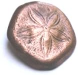 Copper realistic sand dollar beach wear pendant with hidden bail