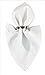 DII Cotton Buffet Napkin Set, 16x16, White, 12 Piece