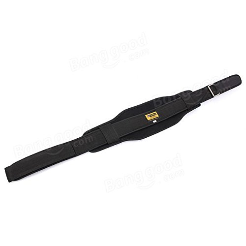 Pink Lizard Weight Lifting Belt Neoprene Back Support Training Fitness