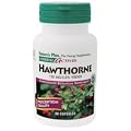 Nature's Plus - Hawthorne, 150 mg, 60 capsules [Health and Beauty]