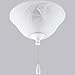 Progress Lighting P2621-30EBWB 2-Light Fan Light Kit Energy Star Rated, White