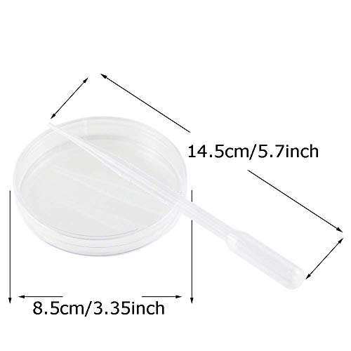 ToToT 10pcs Disposable Plastic Petri Dish 90x15mm with 5 2ml Thickened Plastic Transfer Pipettes for School Science Fair Project and Party - Thumbnail 2