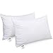 HOMEIDEAS Queen Bed Pillows for Sleeping Set of 2 - Luxury Down Alternative Pillows, Premium Plush Fiber - Good for Side and Back Sleeper