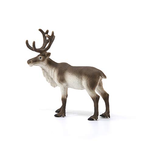 schleich WILD LIFE | Rentier 14837 | detailgetreue Tierfiguren | Zoo Spielzeug | ideales Geschenk für Jungen und Mädchen | Deko für Geburtstag | Spielfigur ab 3 Jahren | 13 x 6 x 12 cm – Bild 5