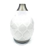 Young Living Essential Oil Home Ultrasonic Desert Mist Diffuser