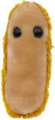 GIANT MICROBES Stomach Ache (Shigella) Plush Toy - //coolthings.us