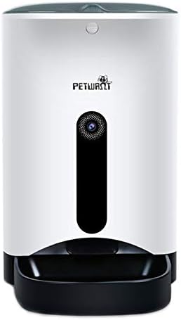 small trained dogs for sale