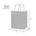 12CT Medium Pastel Assorted Biodegradable, Food Safe Ink & Paper, Premium Quality Paper (Sturdy & Thicker), Kraft Bag with Colored Sturdy Handle (Pastel, 12Ct Medium)